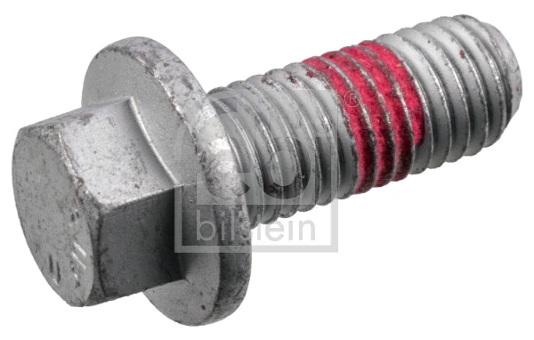 Bolt, brake caliper